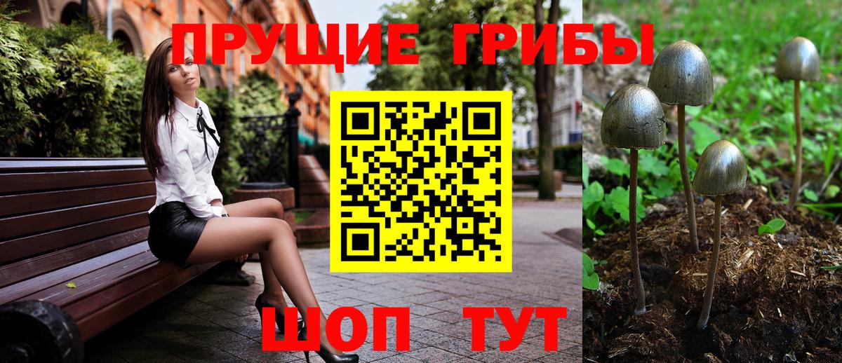 дарнет шоп  Вход с VPN  Галлюциногенные грибы прущие грибы  Ливны  Галлюциногенные грибы ЛСД 